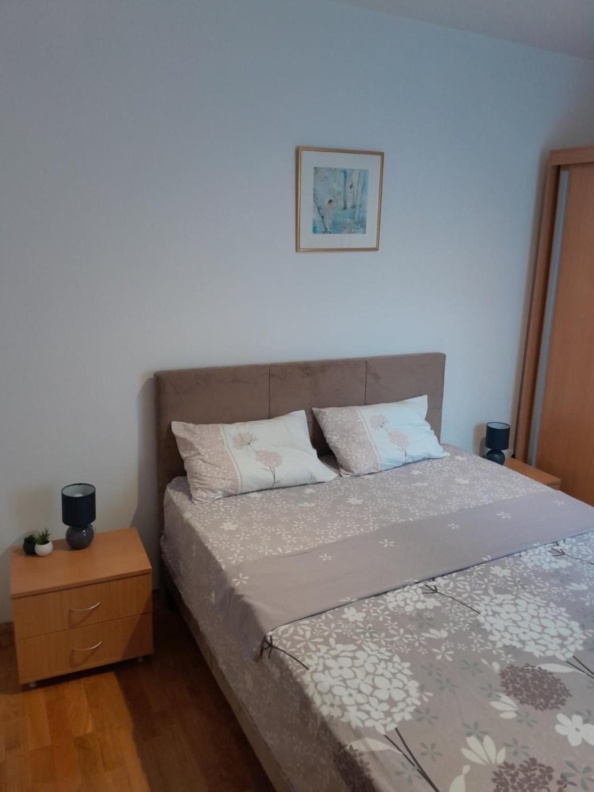 Apartman Klara Petrovac Exterior foto